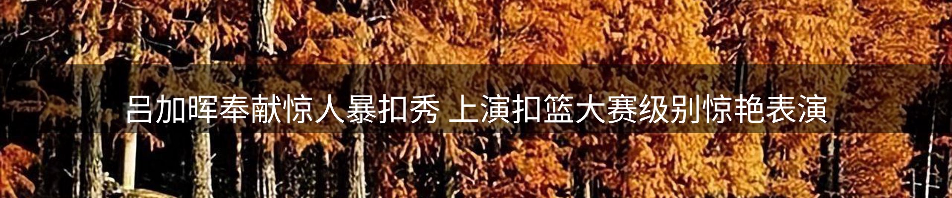 内页banner